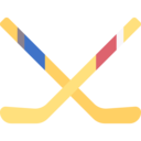 sports and competition,game,hockey stick,ice hockey,hockey,olympic games,sticks,indoor